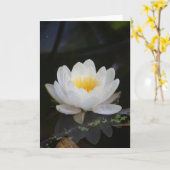 はす#2360 カード (黄色い花)