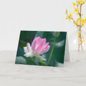 はす#2444 カード (黄色い花)