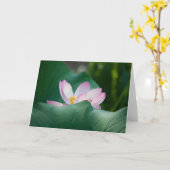 はす#2525 カード (黄色い花)