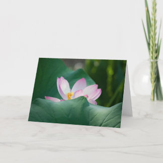 はす#2525 カード