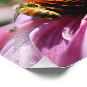 はちみつ蜂Coneflowerクローズアップ8x10 フォトプリント (角)