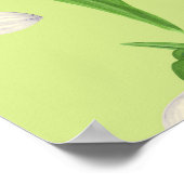 はちみつ露の雪 ポスター (角)