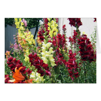 はっきりしたなロケットSnapdragons