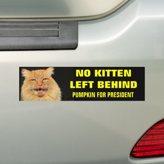 はっきりしたの後ろで残っている子ネコ無し バンパーステッカー (車上)