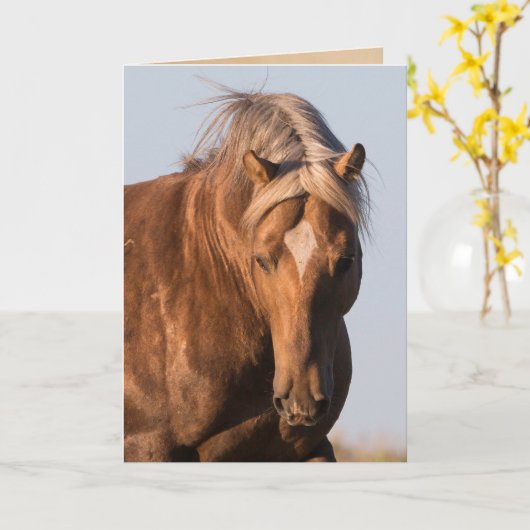 はっきりしたプライドワイルドホースグリーティングカード カード (黄色い花)