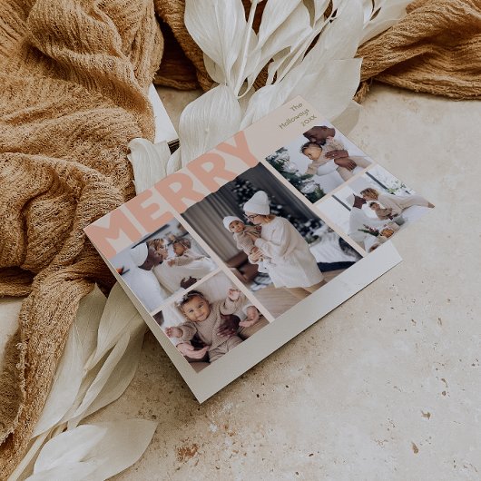 はっきりしたモダンCoral折メリーり5枚 シーズンカード