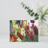 はっきりしたロケット弾 ポストカード (スタンド正面)