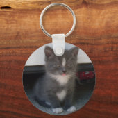 はっきりした子猫 キーホルダー (正面)