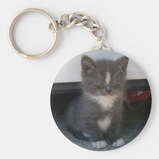 はっきりした子猫 キーホルダー (正面)