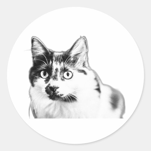 はっきりした猫シール ラウンドシール (正面)