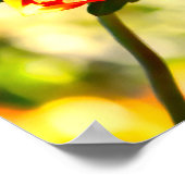 はっきりした蝶 ポスター (角)