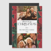 はっきりしたChristmas Poinsettia植物学2 – 写真 (正面/裏面)