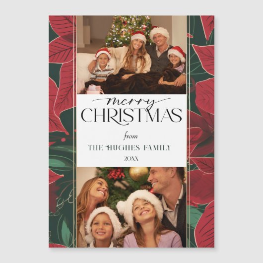 はっきりしたChristmas Poinsettia植物学2 – 写真 (正面)