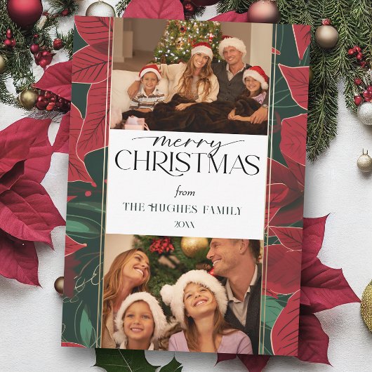 はっきりしたChristmas Poinsettia植物学2 – 写真 シーズンカード