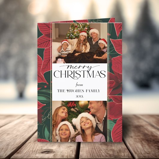 はっきりしたChristmas Poinsettia植物学2 – 写真 シーズンカード