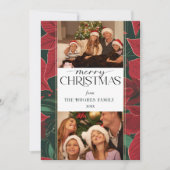 はっきりしたChristmas Poinsettia植物学2 – 写真 シーズンカード (正面)