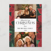 はっきりしたChristmas Poinsettia植物学2 – 写真 シーズンポストカード (正面)