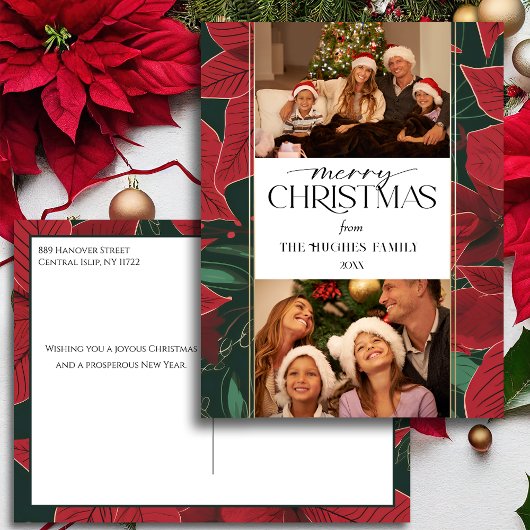 はっきりしたChristmas Poinsettia植物学2 – 写真 シーズンポストカード