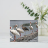 はっクールがき違うをする ポストカード (スタンド正面)