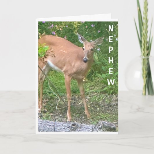 **はクール**ハッピーバースデー甥 カード (正面)