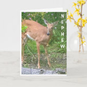 **はクール**ハッピーバースデー甥 カード (黄色い花)