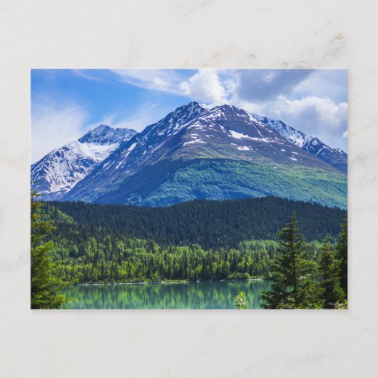 は空白のがき ポストカード (正面)