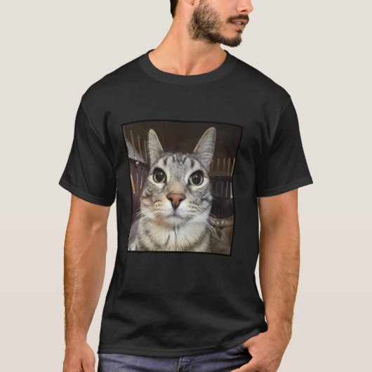 ばかみたいに見つめる猫のミーム Tシャツ (正面)