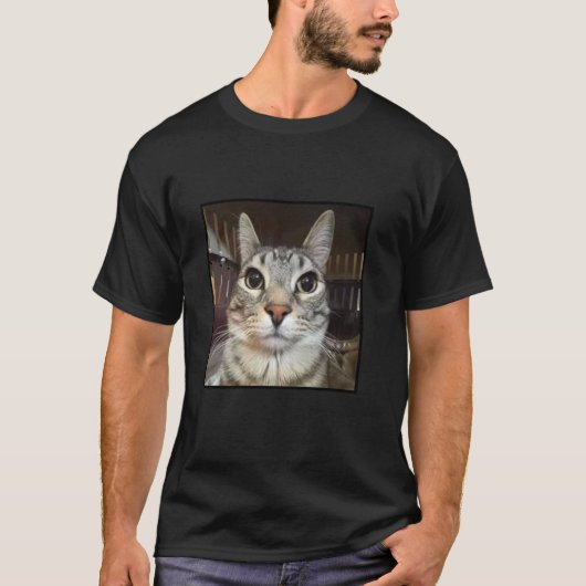 ばかみたいに見つめる猫のミーム Tシャツ (正面)