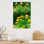 ばか者 ポスター (キッチン)