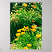 ばか者 ポスター (正面)