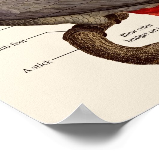 ばか鳥構造 ポスター (角)