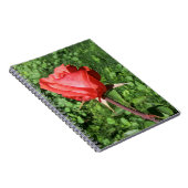 ばら色のノート ノートブック (右側)