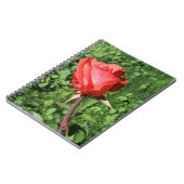 ばら色のノート ノートブック (左側)