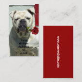 ばら色の名刺を持つ白いブルドッグ 名刺 (正面/裏面)