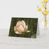 ばら色の挨拶状のブランク カード (黄色い花)