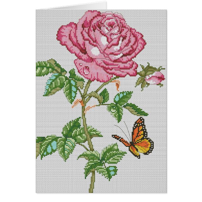 ばら色の美しい (正面)