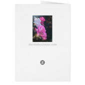 ばら色の花束カード (裏面)