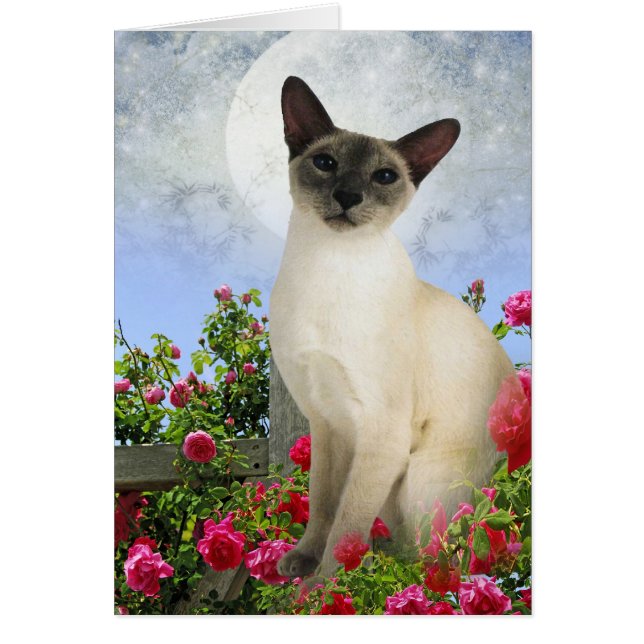 ばら色ベッドカードのシャム猫 (正面)