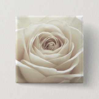 ばら色ボタン 缶バッジ