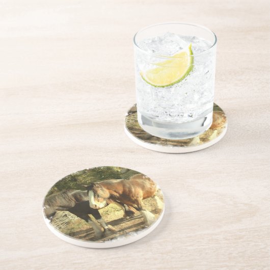 ばん馬のコースター コースター (側面)