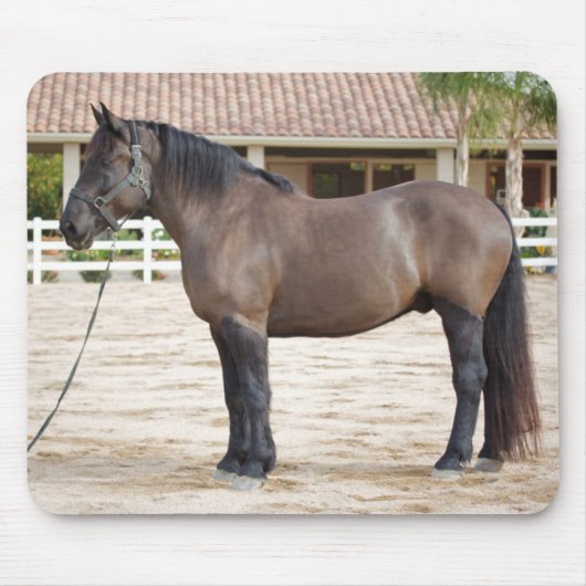ばん馬のマウスパッド マウスパッド (正面)