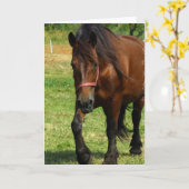 ばん馬の挨拶状 カード (黄色い花)