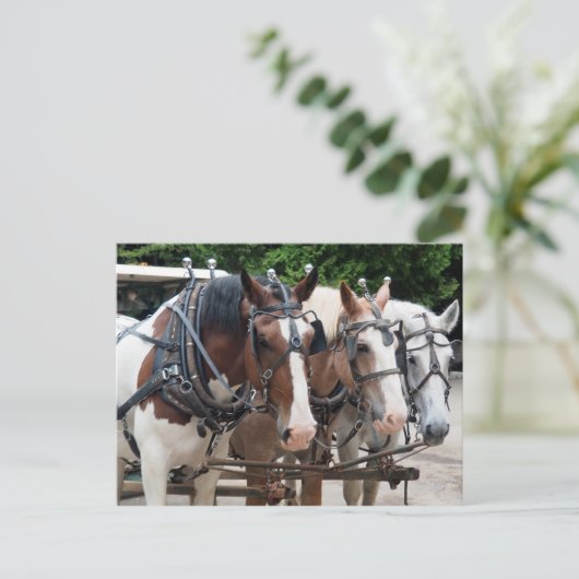 ばん馬829 ポストカード (スタンド正面)