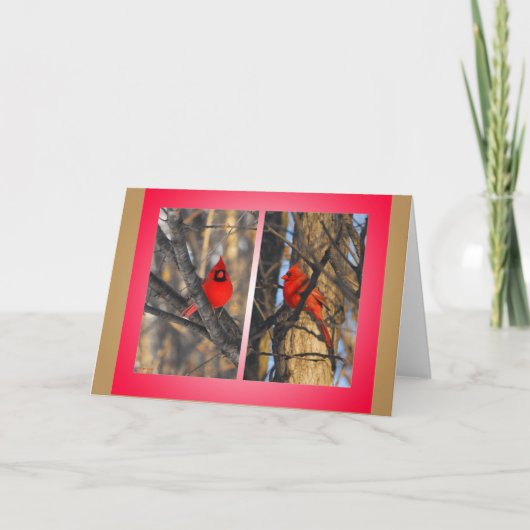 "ぱりっとした"冬の午前中（鳥）ショウジョウコウカンチョウ シーズンカード (正面)