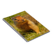 ひきつった鼻のコロンブス ノートブック (右側)