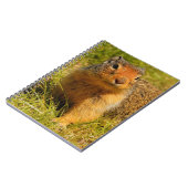 ひきつった鼻のコロンブス ノートブック (左側)