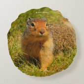 ひきつった鼻のコロンブス ラウンドクッション (裏面)