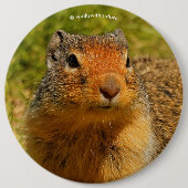 ひきつった鼻のコロンブス 缶バッジ (正面)