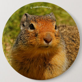 ひきつった鼻のコロンブス 缶バッジ