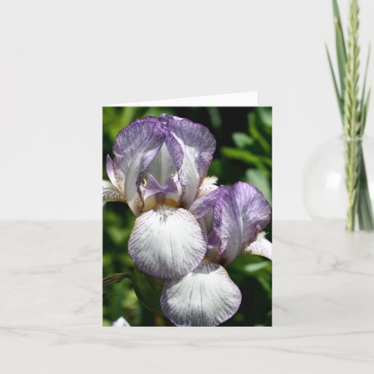 ひげありアイリス ペア 花の写真 ノートカード (正面)